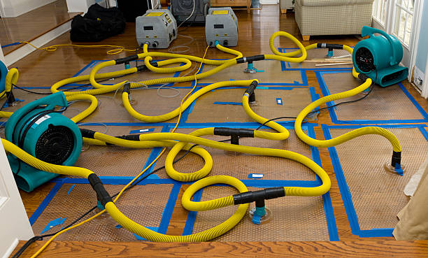 Professional Structural Drying And Dehumidification technician working in Grover, WY